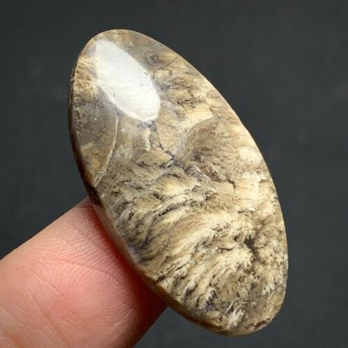 Natural Plume Agate 33x18x5.5mm High Quality Cabochon 26 ct - Picture 3 of 7