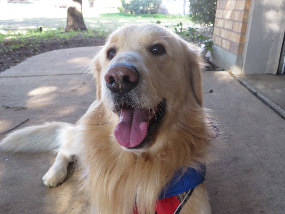 suzuki gz250 exhaust