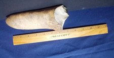 NATIVE AMERICAN INDIAN Stone TOOL HAND Axe Head Hammer from Southeastern Wyoming