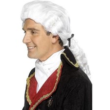 Adults Fancy Dress Court Wig 