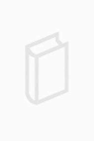 C/ WINDOWS TOOLCHEST FOR DOS