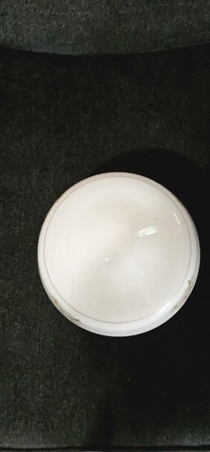 Vintage Mallard Drake Milk Glass Ceiling Fan Light Globe - Picture 3 of 7