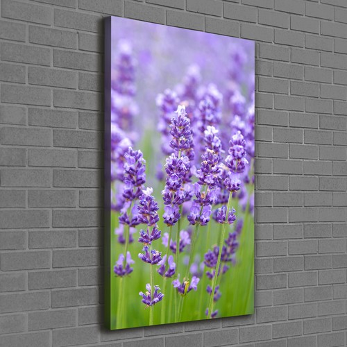 Tableau Sur Verre Trempé Tulup 60x120 Cm - Champ De Coquelicots Rouge - Décoration Moderne