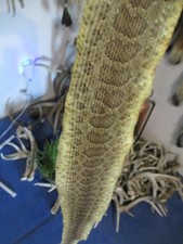 rattlesnake skin prairie rattle snake hide SOFT TANNED wrap pen blanks 32 in H4