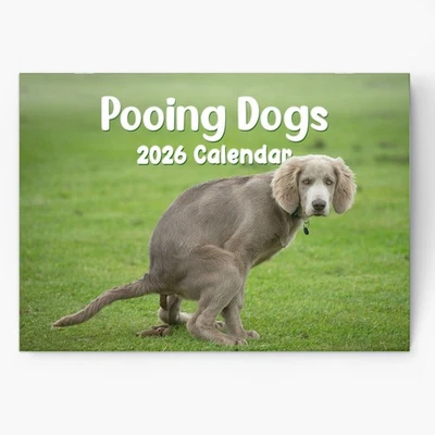 EVELAY 2026 Fun Pooing Dogs Calendar Wall Monthly Planner Staff Rota Secret Santa Gift
