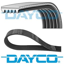 GENUINE DAYCO 5 RIBS 1125MM RIBBED DRIVE BELT 5PK1125