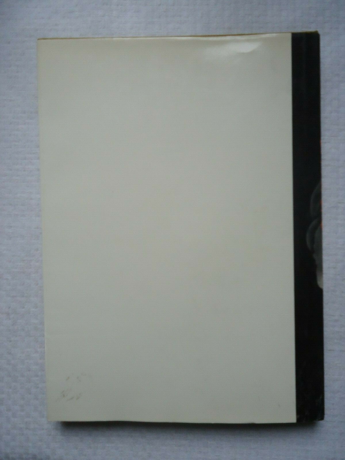 Picture 7 of 7