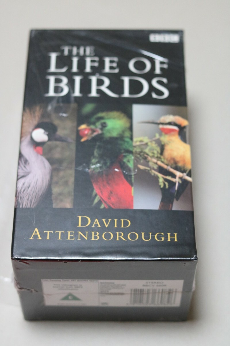 その他 Life of Birds [VHS] Amazon.co.jp: Life of Birds [VHS] : Attenborough David: DVD