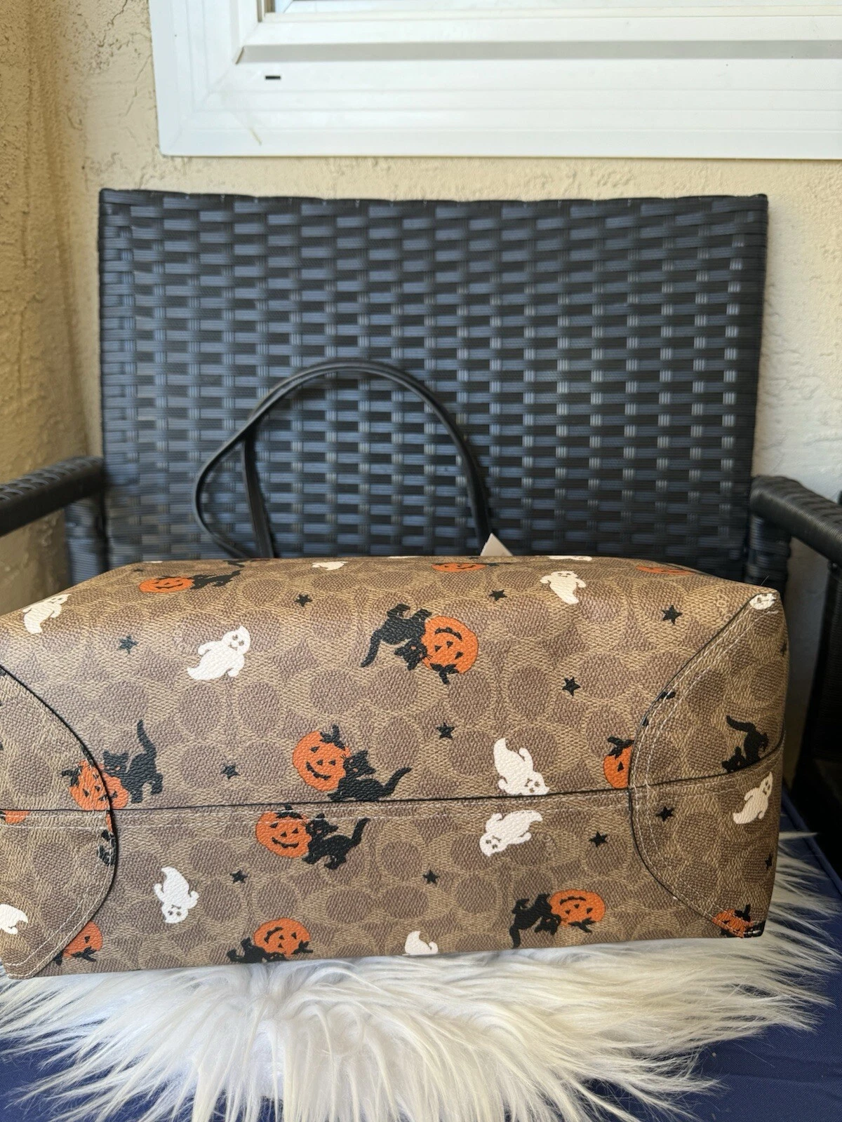 Borsa Coach CW450 City nuova con etichetta in tela firmata con Halloween 2024 ?? gatto