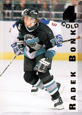 Hockey Singles : Base, Rookies, Stars - You Pick