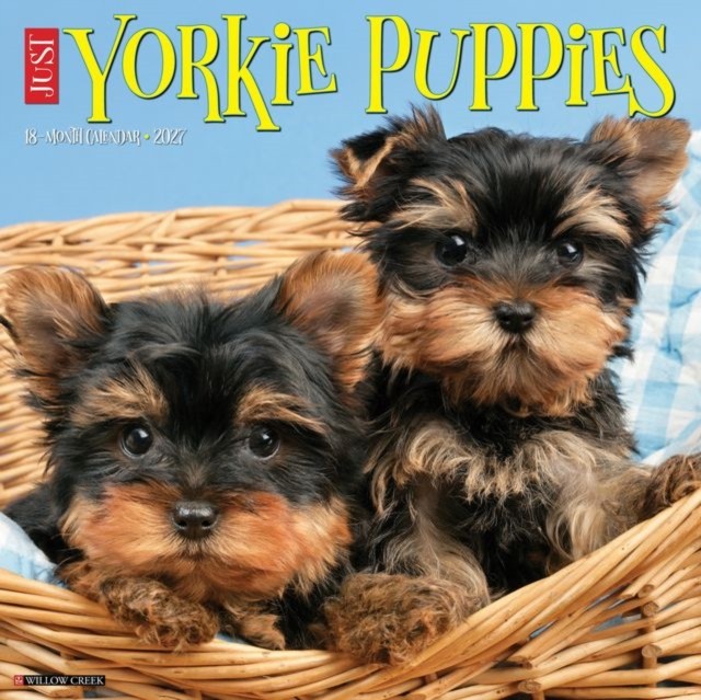 Yorkie Puppies 2027 Wall by Willow Creek Press (Paperback Book) - Image 3