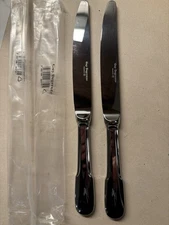 Guy Degrenne LUTECE - lot of 2 place/dinner knives NEW