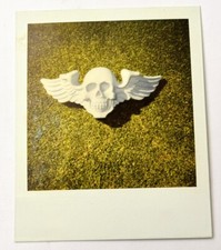 Polaroid Skull Head With Wings Art Piece For Motorcycle Mold Vintage Photo Art