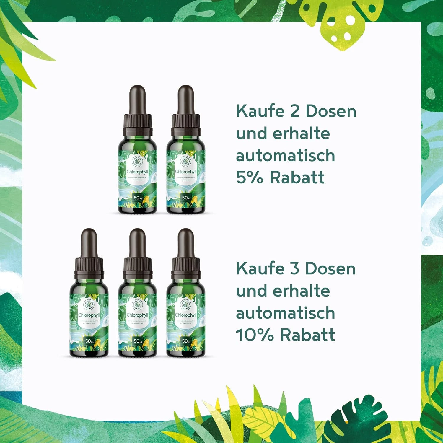 Bild 10 von 10