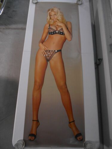 Poster door Charlie O'Neale sexy girl 2002 21 x 62 mancave wall garage