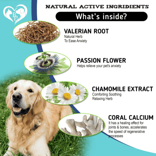 Hemp Calming Chews for Dogs Puppy Pet Separation Anxiety Relief Treats for Dog - Picture 4 of 6