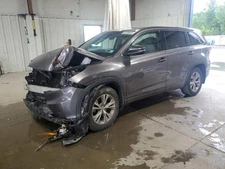 HIGHLANDR 2015 Jack 2012193