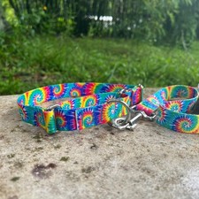 1 inch Rainbow Tie Dye Martingale Dog Collar and Leash Set - Slip On Martingale
