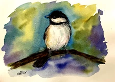 Black Capped Chickadee Bird Watercolor Original Painting