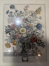 Antique framed Robert Furber November Bouquet hand-colored engraving H.fletcher
