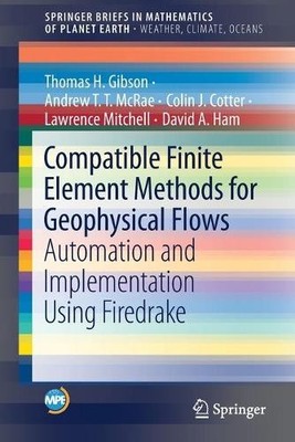 Thomas H. Gibson Andrew T.T. McRae Co Compatible Finite Element M (Taschenbuch)