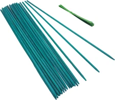 Green Bamboo Sticks Plant Stakes, Plant Support Sticks for Indoor Plants,  Sturd