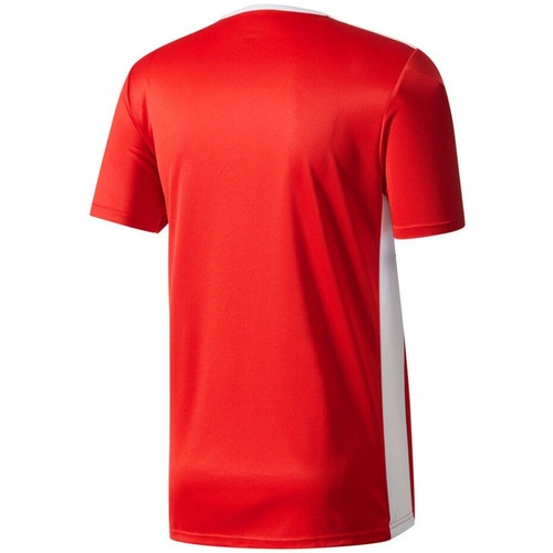 Adidas Men's T-Shirt Entrada 18 Climalite Aeroready Crew Sports Gym Workout Top - 第 7/34 張圖片