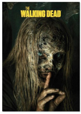 AMC - THE WALKING DEAD - SEASON 9 PROMO CARD -THE WHISPERERS - DARRYL & MICHONNE