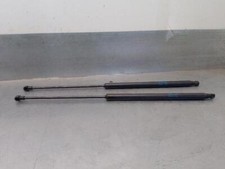 Verin de hayon / de capot BMW 320