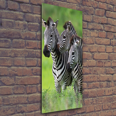 Wand-Bild Kunstdruck aus Acryl-Glas Hochformat 50x125 Drei Zebras