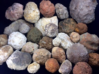 8-10Lbs Break Your Own Geodes Unopened Natural Crystals Kentucky Variety Lot 