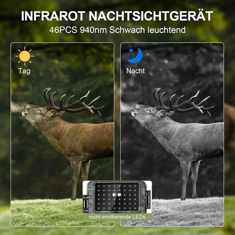 Bild 9 von 17