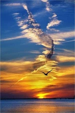 Blue sky and the sea  High quality Photo print canvas choose your size 