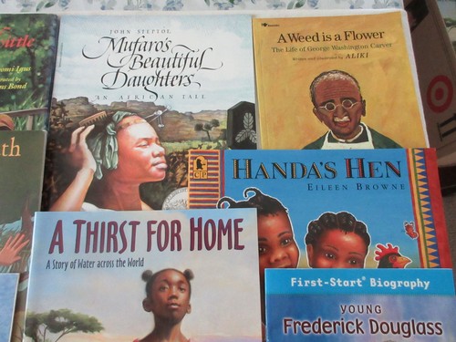15 AFRICAN AMERICAN Childrens Picture Books BLACK HISTORY Teacher AR CALDECOTT - Foto 4 di 5