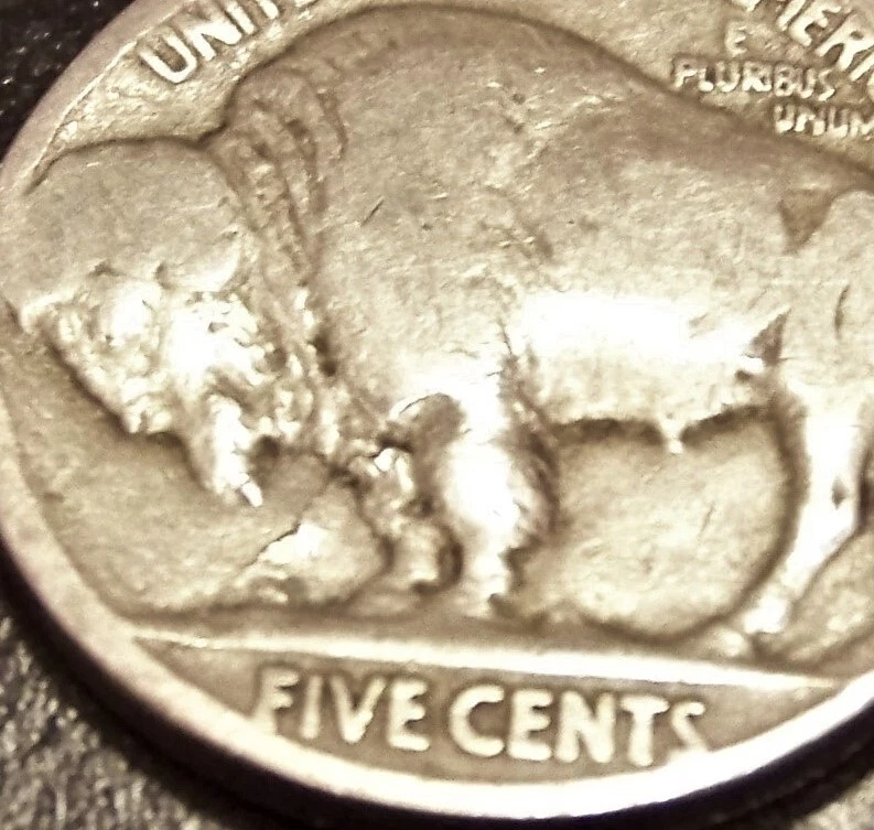 1925 P Buffalo Nickel con posible error de quinta pierna Foto 3 de 3