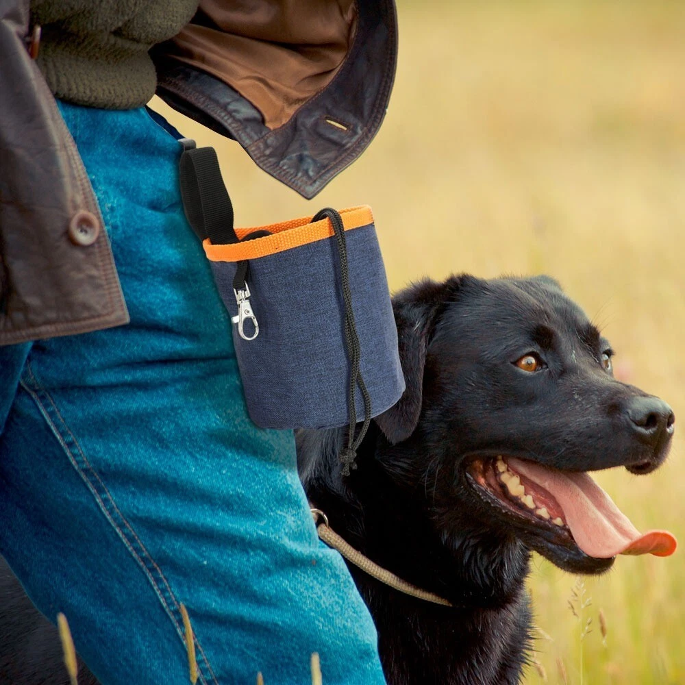 Dog waist trainer cheap