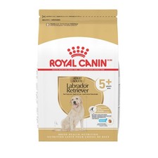 Royal Canin Breed Health Nutrition Labrador Retriever 5 Mature Dry Dog, 28 lb B