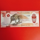 Foto 1 di 8