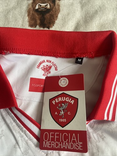 Perugia Football Shirt Men’s Medium BNWT White Away Kit Long Sleeve - Picture 2 of 11