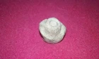 Civil War Battlefield Found Nipple Protector 5 - Recovered In Richmond Virginia