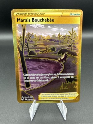 Grand Moor 213/195 Secret Rare Pokemon TCG Silver Stormwinds SIT EXC French