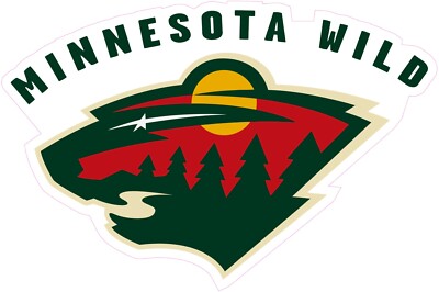 Minnesota Wild Hockey HTV Heat Transfer Vinyl Iron On (NOT A PATCH)
