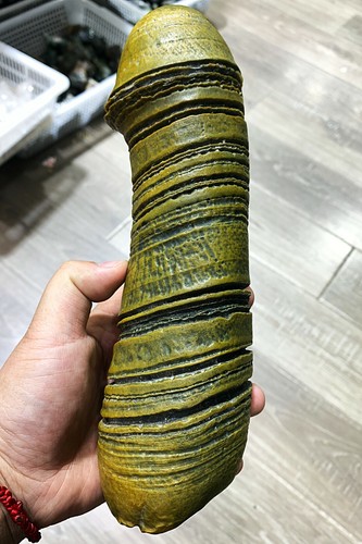 Carving Penis Natural Agate Quartz Crystal Reiki Stone Healing
