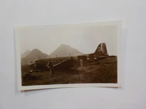 WW2 Photo Airplane 3 Tail Aircraft Photograph WW II Image Military War VTG WWII
