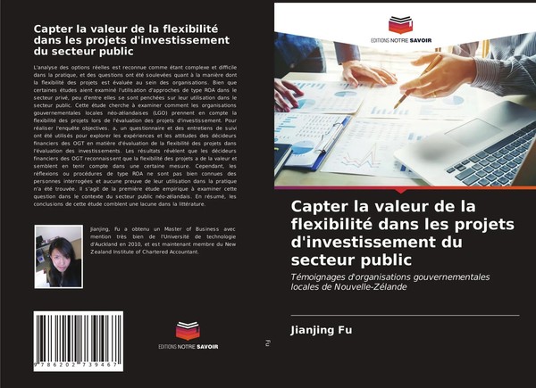 Capter La Valeur De La Flexibilité Dans Les Projets D'investissement Du...-image