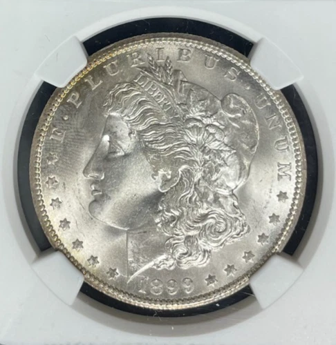 1899-O MORGAN SILVER DOLLAR~NGC MS 65 ~BEAUTIFUL COIN~  REF#87-004