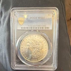 1884-CC Morgan Silver Dollar $1 PCGS MS64 Cert#53011302 Business Strike