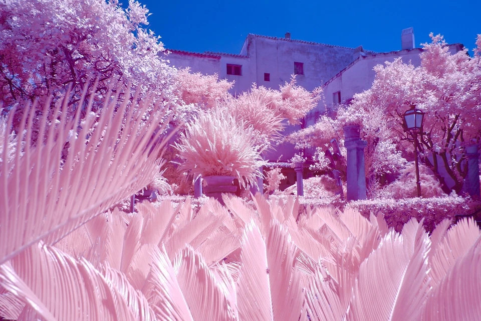 Candy Chrome 550nm /LP, Infrared Filter, 77mm, UK Seller, for full Spectrum mod - Image 2 of 4