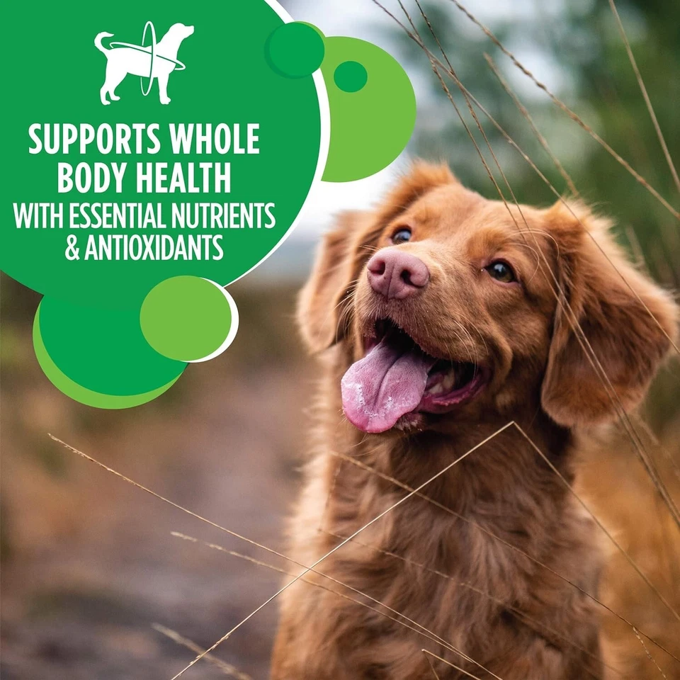 IAMS Adultos Minichunks Pequeñas Croquetas Alta Proteína Comida Seca para Perros con Pollo Real, Foto 3 de 4