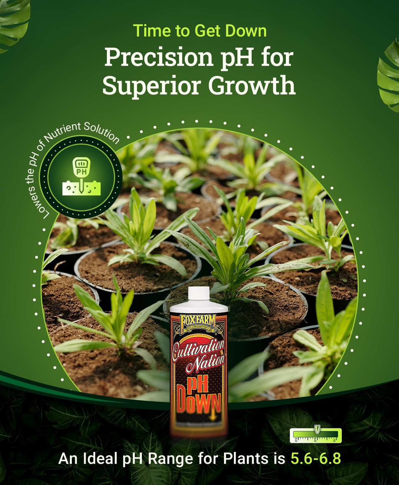 Cultivation Nation pH Down - Liquid Nutrient Solution Adjuster for Hydroponic...